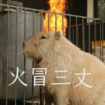 卡皮巴拉表情包请收藏