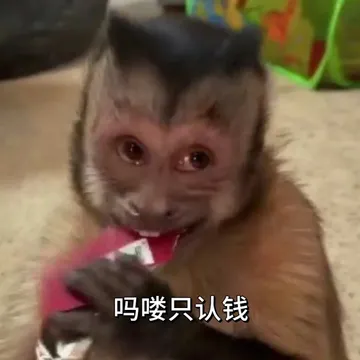 吗喽只认钱