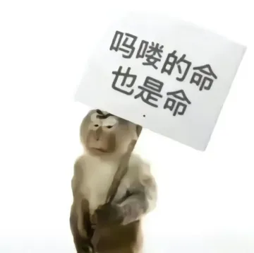 吗喽表情包 吗喽猴子搞笑图