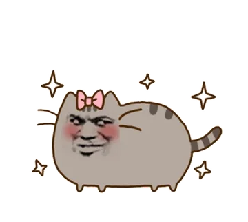 金馆长小猫