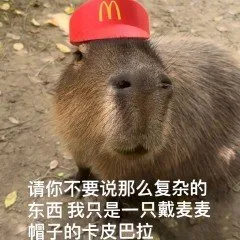 卡皮巴拉