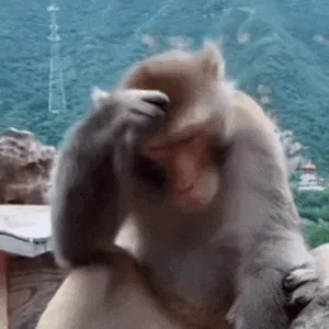 吗喽