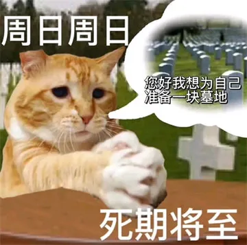 猫咪周一到周日的表情包（打工人版）