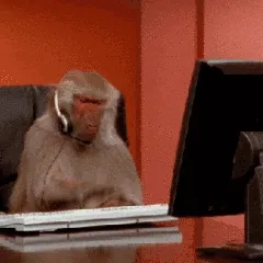吗喽敲键盘 GIF 动图