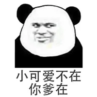 小可爱不在，你爹在（熊猫）