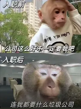 吗喽打工表情包