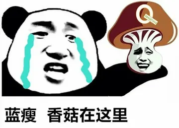 蓝瘦，香菇在这里