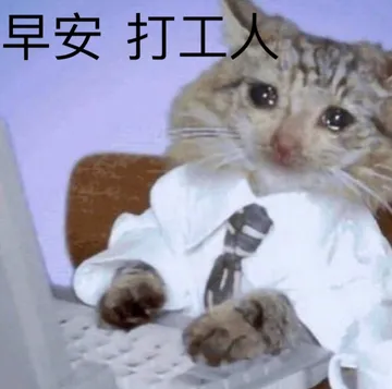 早安打工人 - 近期斗图表情包精选-2020-10-10