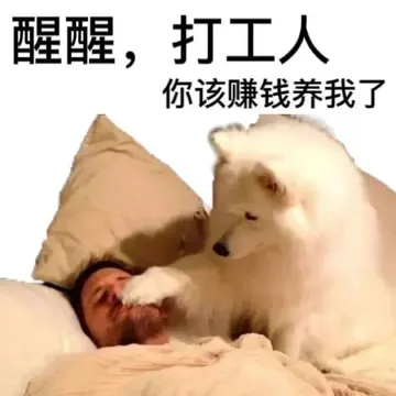 醒醒，打工人你该赚钱养我了